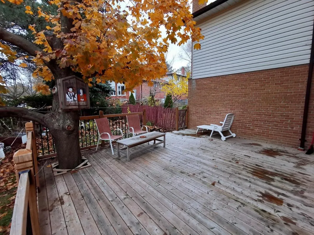 Private Rooms In House In North York Shared Kitchen Toronto Canada